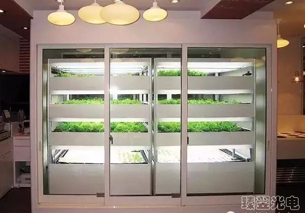 光纖照明，光導照明，植物栽培